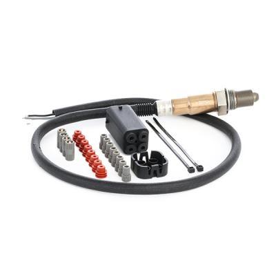 Ansaugsystem und Auspuffanlage