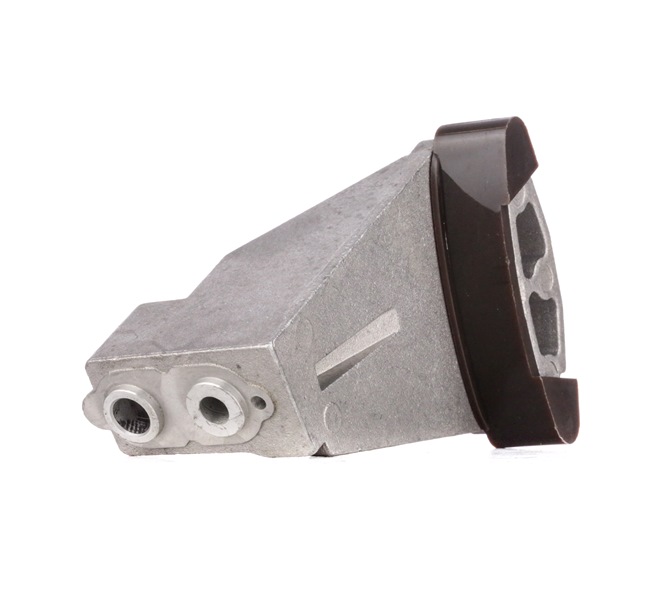 Gleitschiene, Steuerkette