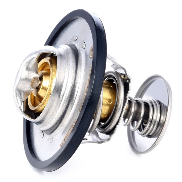 Thermostat RIDEX